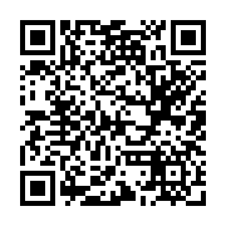 QR code for XLI387