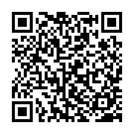 QR code for XLN385