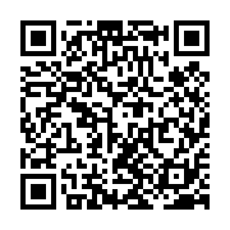 QR code for XNG411