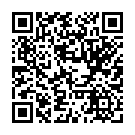 QR code for XNT397