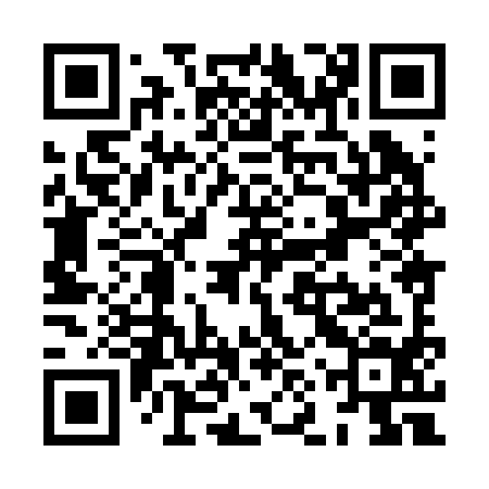 QR code for XNX294