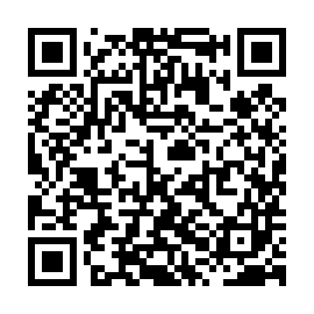 QR code for XPI483