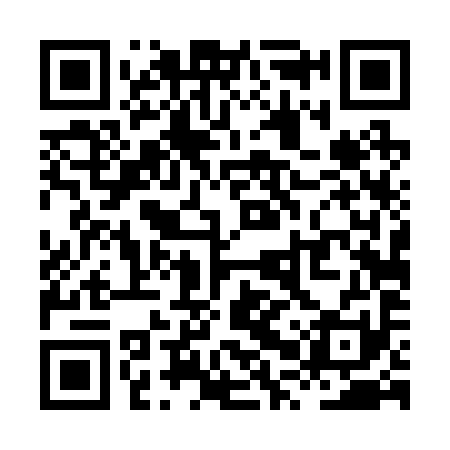 QR code for XPT291