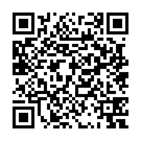QR code for XRZ0384