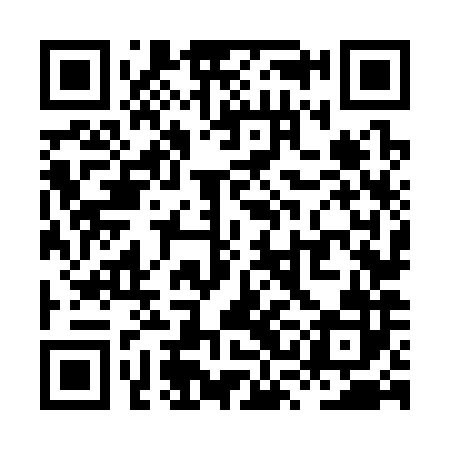 QR code for XSN382