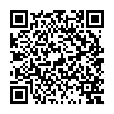 QR code for XSP2013