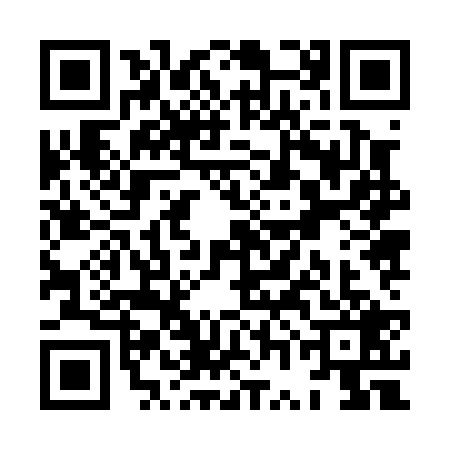 QR code for XWJ0295