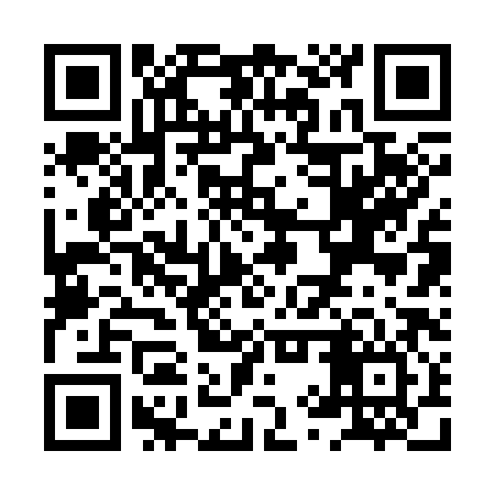 QR code for XYR386