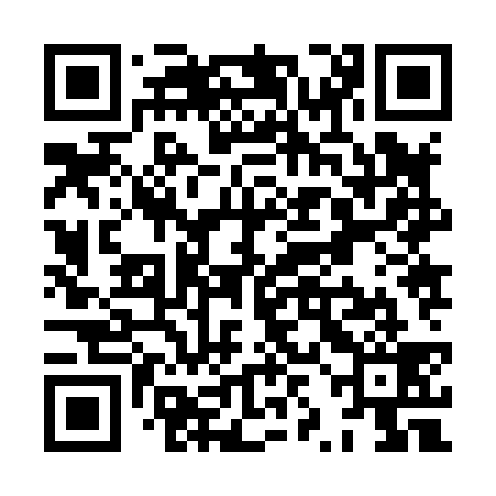 QR code for XZJ839