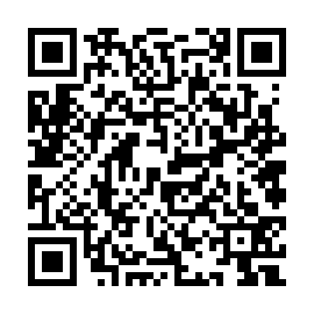 QR code for YAV3335