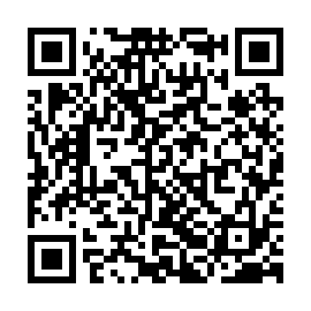 QR code for YBG233
