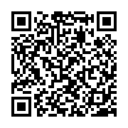 QR code for YEV011