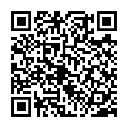 QR code for YFI6295