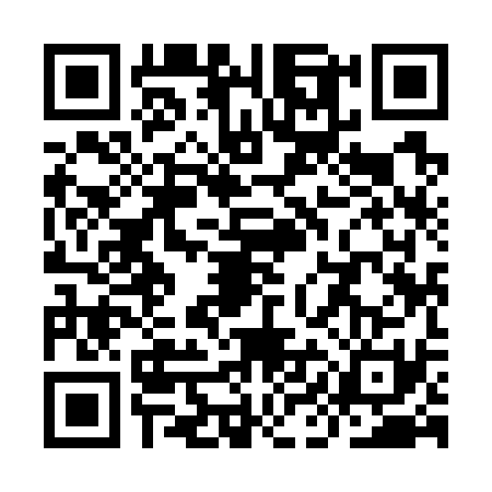 QR code for YII7317