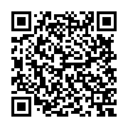 QR code for YIR873