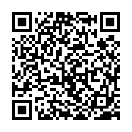 QR code for YIZ533