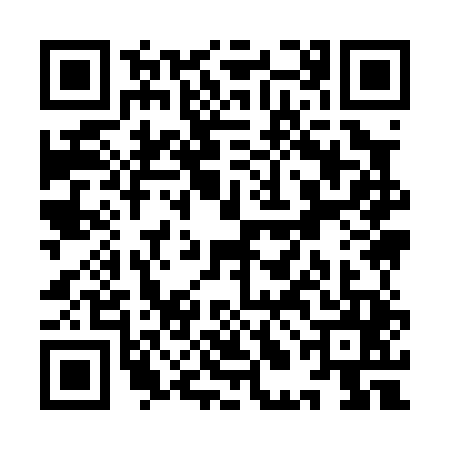 QR code for YLI0453