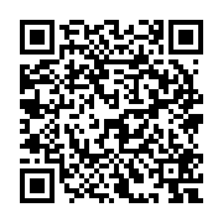 QR code for YLI2096