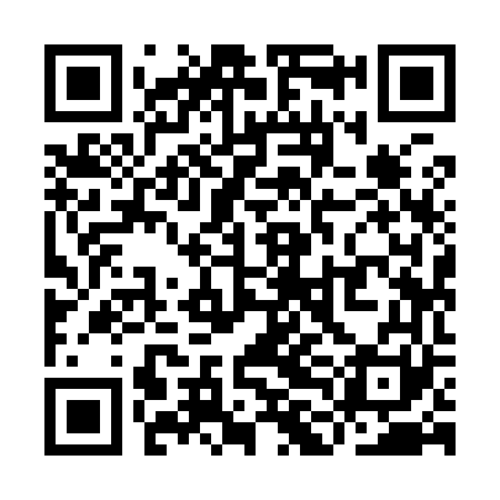 QR code for YLI961