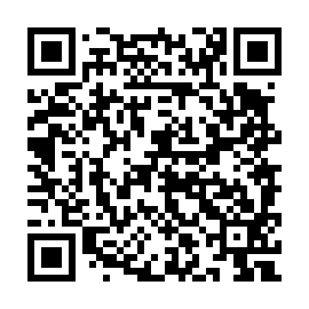QR code for YLN493