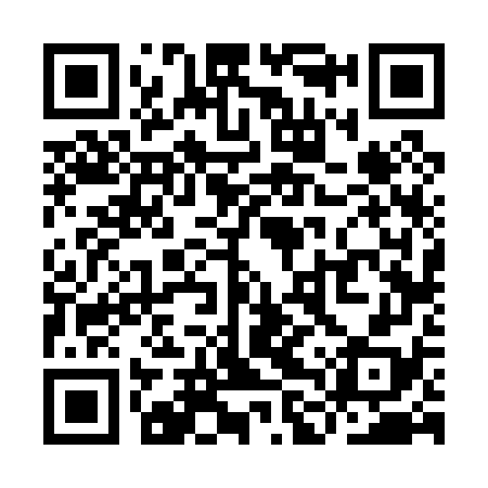 QR code for YLV078