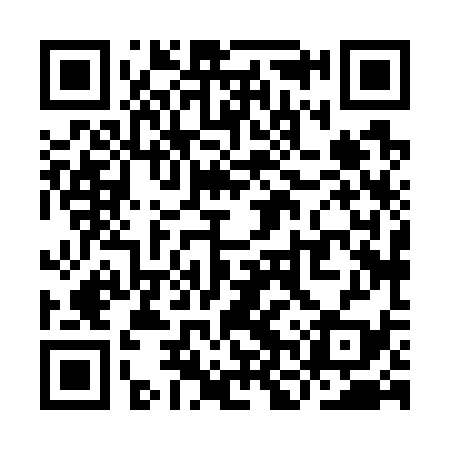 QR code for YNX739