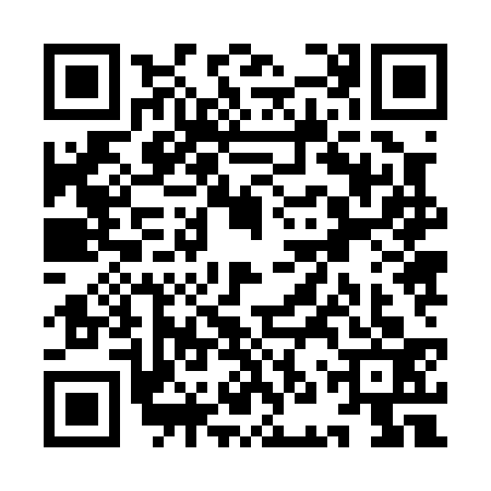 QR code for YNZ0334