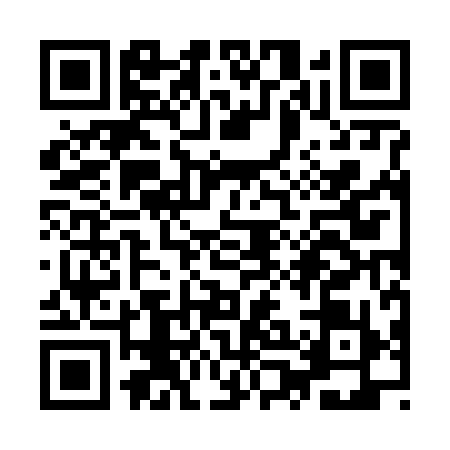 QR code for YPJ6991