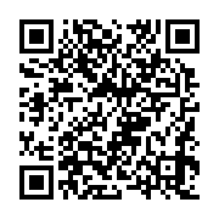QR code for YPL379
