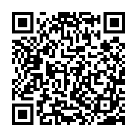 QR code for YPL563