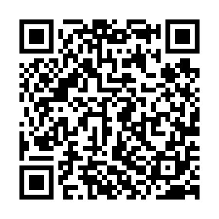 QR code for YPL650