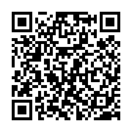 QR code for YPV411