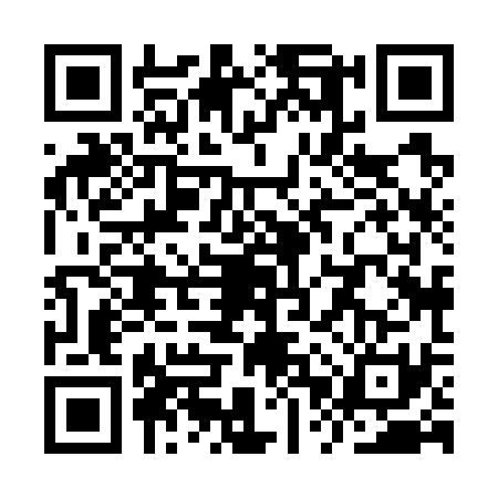 QR code for YPX7313