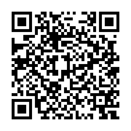 QR code for YQS0541