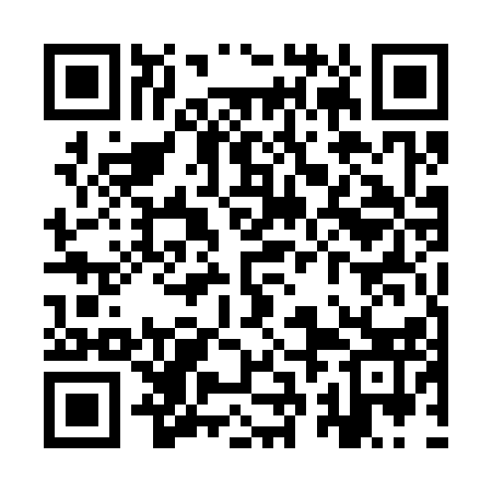 QR code for YRE313