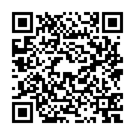 QR code for YSI1317
