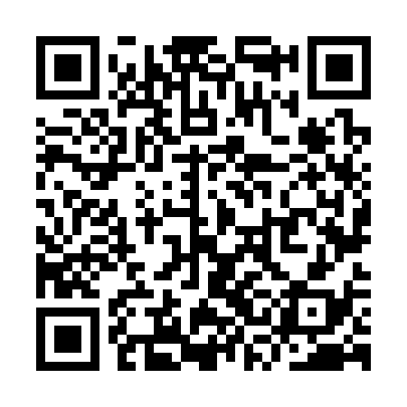 QR code for YSN338
