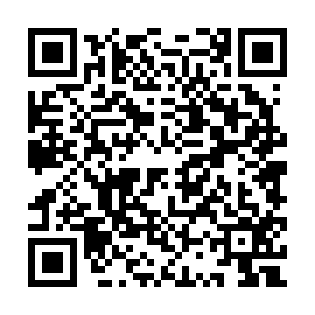 QR code for YST2163