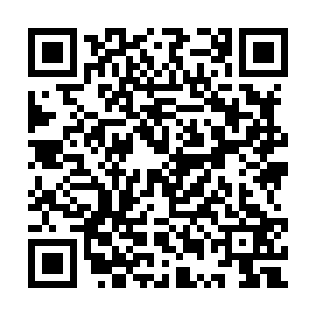 QR code for YUI8233