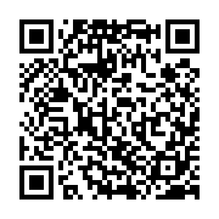 QR code for YVF550