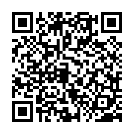QR code for YVJ0493