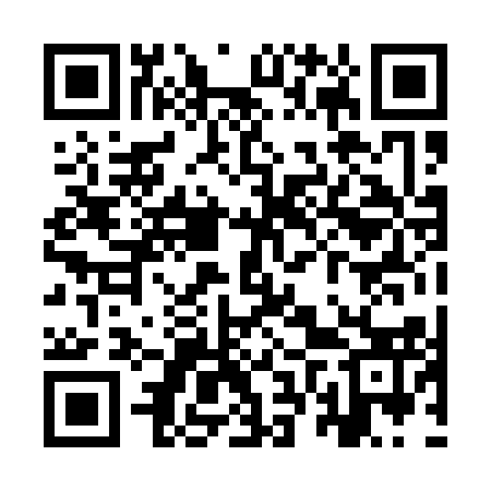 QR code for YVP113