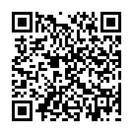 QR code for YVP273