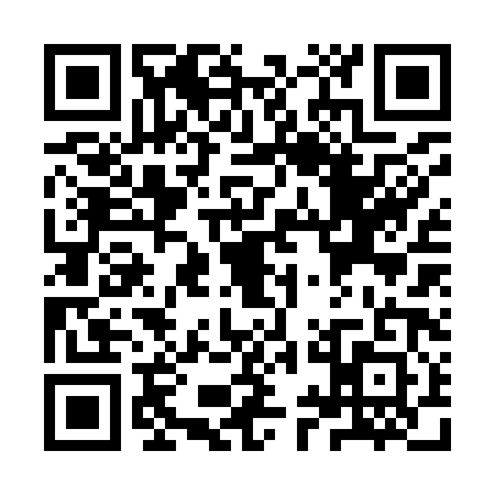 QR code for YYB9813
