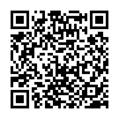 QR code for YYM738