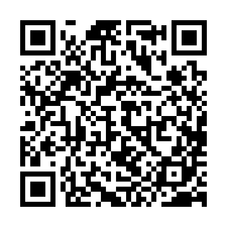 QR code for YYP380