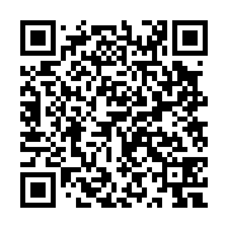 QR code for YYR038