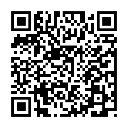 QR code for YYV4991