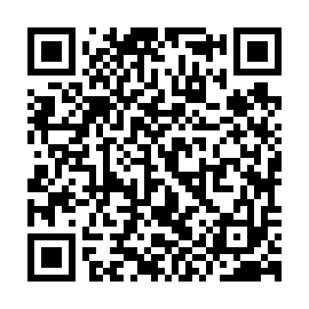 QR code for YYZ613