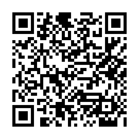 QR code for YZG400